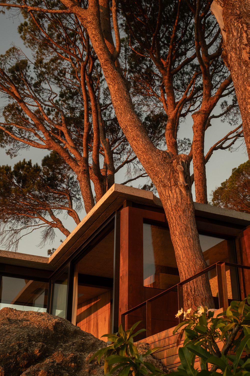 tree-house-capetown-luxury-interior-01